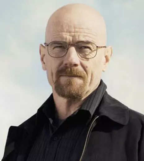 Bryan Cranston are un serial nou pe Amazon: „Sneaky Pete”