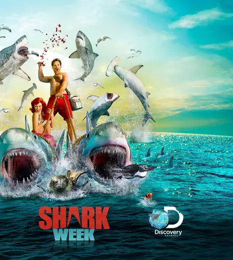 „Shark Week” / “Săptămâna rechinilor”, la Discovery, Animal Planet și Prima TV