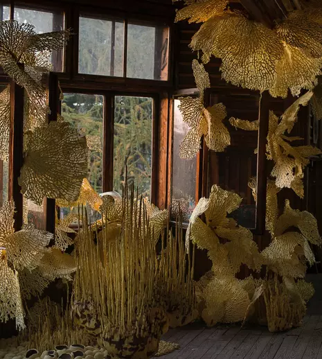 #nevedemlatimișoara: Cel mai ambițios eveniment dedicat artei contemporane din România vă așteaptă la Timișoara din 1 octombrie cu un weekend inaugural de neratat