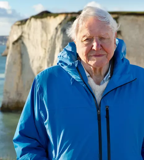 „Oceanul cu David Attenborough”. Documentarul care schimbă perspectiva asupra vieții marine, în premieră la National Geographic