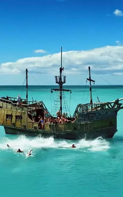 survivor imagini7