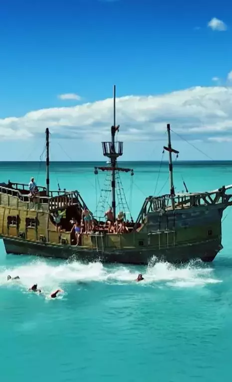 survivor imagini3