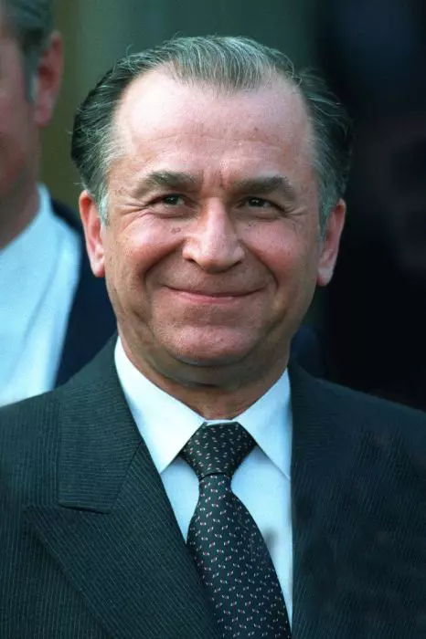 Ion Iliescu 1991