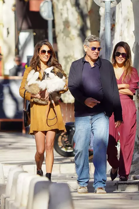 PREMIUM EXCLUSIVE: *NO WEB UNTIL 145PM EST 11TH FEB* George and Amal Clooney have secretly moved to a magnificent new hideaway home in the South of France. And romantic George surprised his wife on her 46th birthday with a Saint Bernard puppy called Nelso