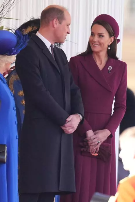 The State Visit of The South African President to the UK