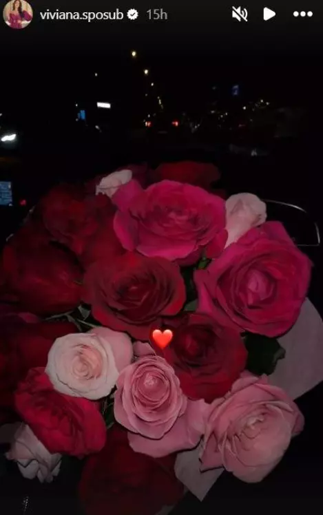 Viviana Sposub surpriză