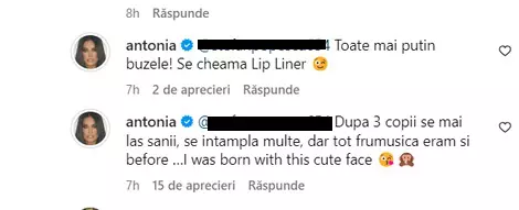 comentariu