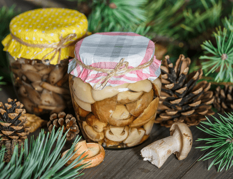 Rețeta de ciuperci murate - cum se conservă ciupercile în oțet