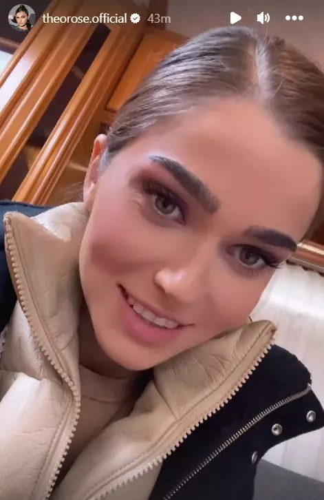 theo rose a confirmat ca este insarcinata declaratiile artistei