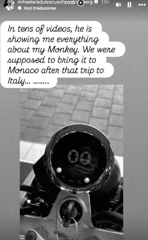 monkey
