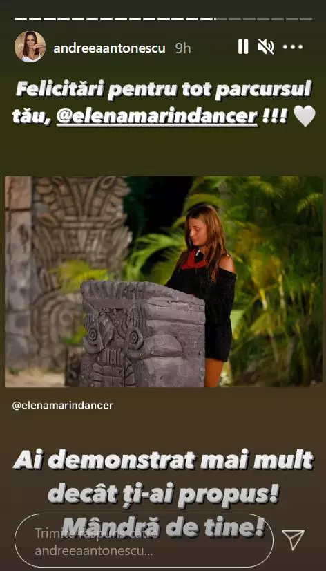 Mesaj-andreea-antonescu