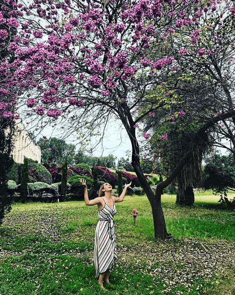 Ce surpriză i-a făcut William Levy iubitei lui, Elizabeth, cu ocazia zilei de naștere (4)