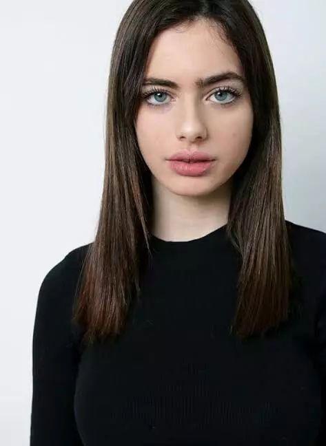 97d7930cfba44c4e9184a6583e1b98fd