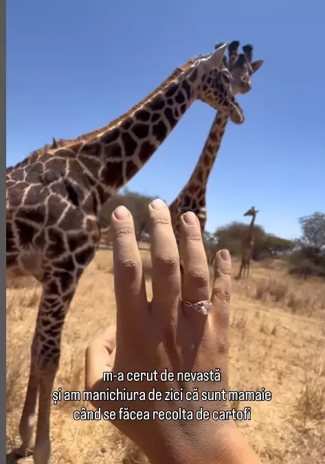 ada-dumitru-logodna (2)