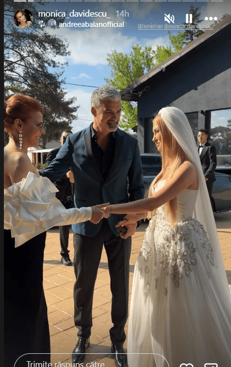 Monica davidescu la nunta Andreei B