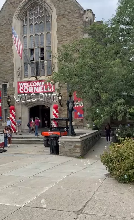 andreea-marin-imagini-violeta-campus-cornell-universitate (13)