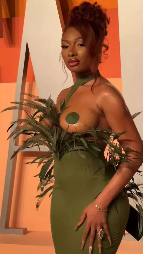 Megan Thee Stallion 2