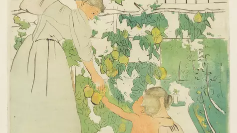 ELLE DOSAR: Grijă, griji, îngrijire