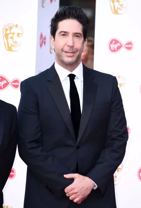 David Schwimmer