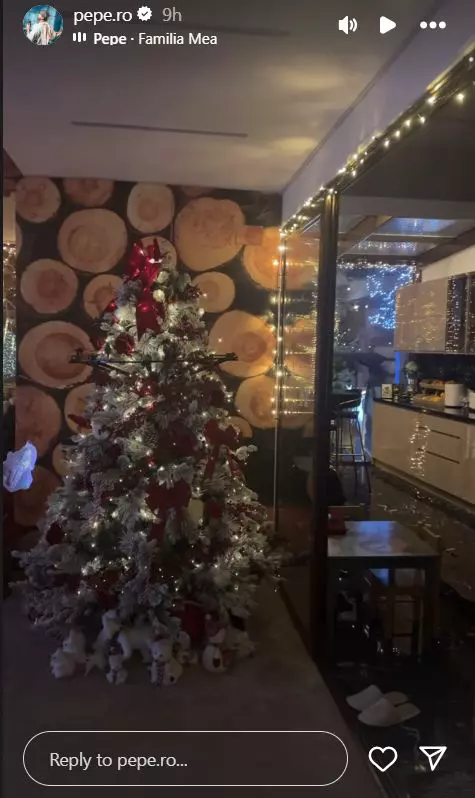 Cum arată sufrageria lui Pepe de Crăciun  (1)