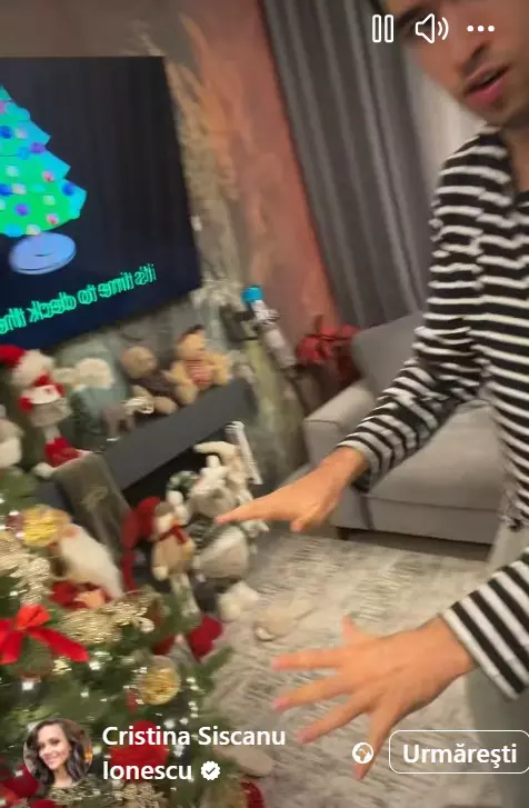 cristina siscanu ionescu2