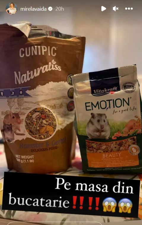 mirela-vaida-are-fobie-de-hamsteri-1