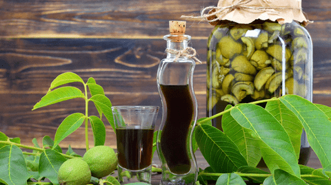 Reteta Lichior de nuci verzi. Rețeta italiană simplă. Cum se face nocino