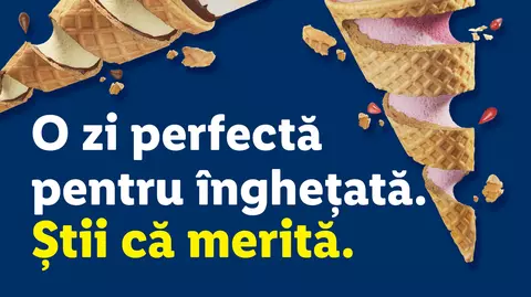 Reteta (P) Calitate românească pe piețe europene: Lidl România facilitează exportul de înghețată produsă local către șapte piețe europene