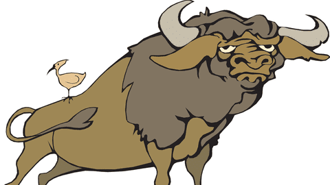 Bivolul și coțofana, de George Topârceanu