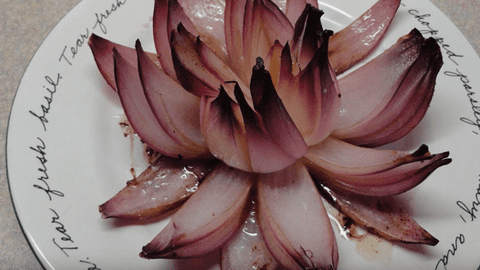 Cum să obții o floare de lotus dintr-o ceapă