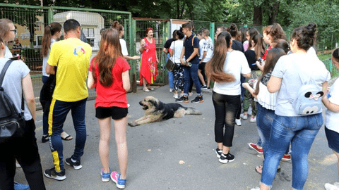 Evaluarea Naţională 2019 - matematică. Ce subiecte au primit elevii