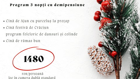 Crăciun 2024 la Hotel Valea cu Pești, Transfăgărășan - Argeș - Tradiție, peisaje de poveste și relaxare în Inima Naturii!
