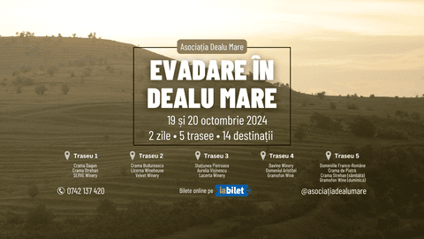 Evadare în Dealu Mare: Descoperă podgoriile și vinurile excepționale ale României într-un weekend de neuitat!