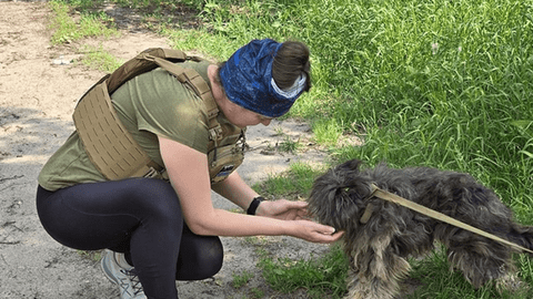 Programe sociale care combat abandonul de animale – o inițiativă ROLDA  