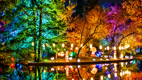Bucureștiul a pornit în „Ocolul Pământului”: 15.000 de vizitatori în primele trei zile la Lumina Park