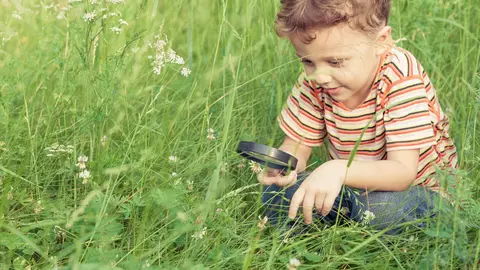 Micii exploratori. Sa fie haos!