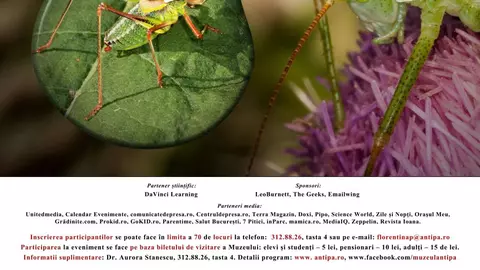 La Antipa, în spatele ușilor închise