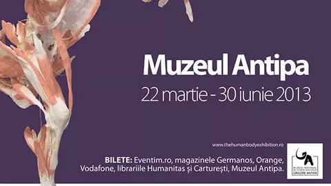 ”The Human Body” are succes