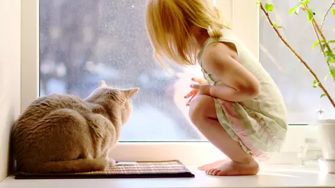 Siguranța în casă - reguli de urmat