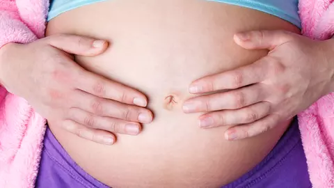 Jurnalul de sarcină lună cu lună