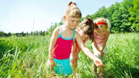 Atenție la mușcăturile de insecte!