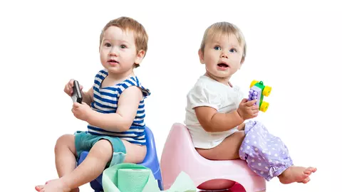 Cum să-l faci să folosească oliţa