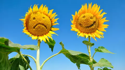 10 motive care distrug relaţia de cuplu