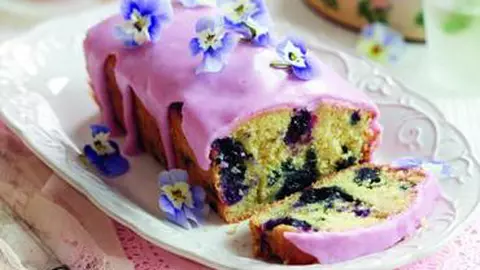 Chec cu lămâie şi coacăze negre