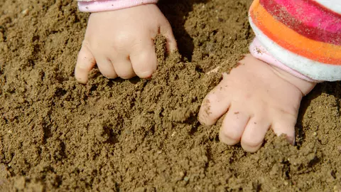 Toxocaroza – tot ce trebuie să ştii