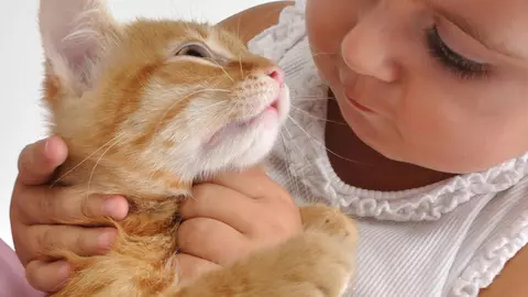 Ce animal de companie i se potrivește copilului tău