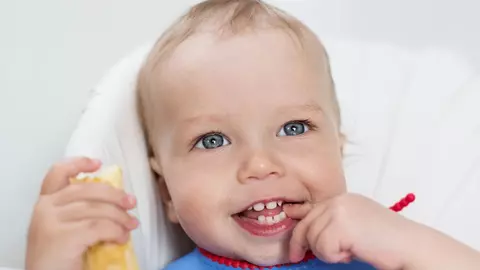 Primul an: plan de alimentație pe etape