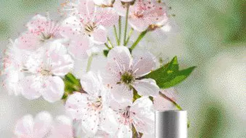 FLORI DE CIREȘ, de la Yves Rocher