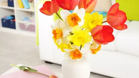 Cum să îți decorezi casa pentru a scăpa de stres