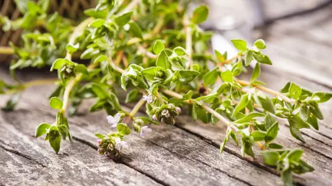 Cimbrul te scapă de candidoză